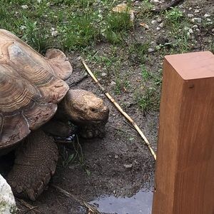 Meet your Posher, Mia